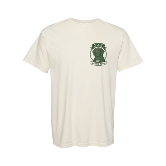 Sigma Alpha Epsilon - Mizzou - Rush Shirt